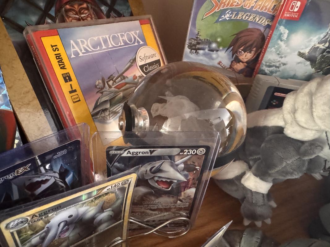 Another photograph of Jon’s huge Aggron collection