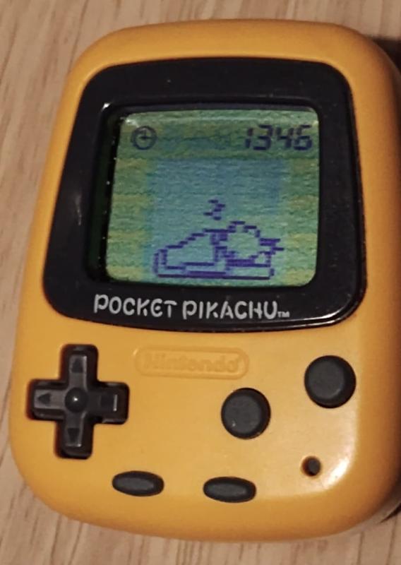 Every evening, Pikachu was found sleeping. Now that this challenge is over, he deserves a good rest. Thank you for your charm, and for your company throughout, Pikachu!