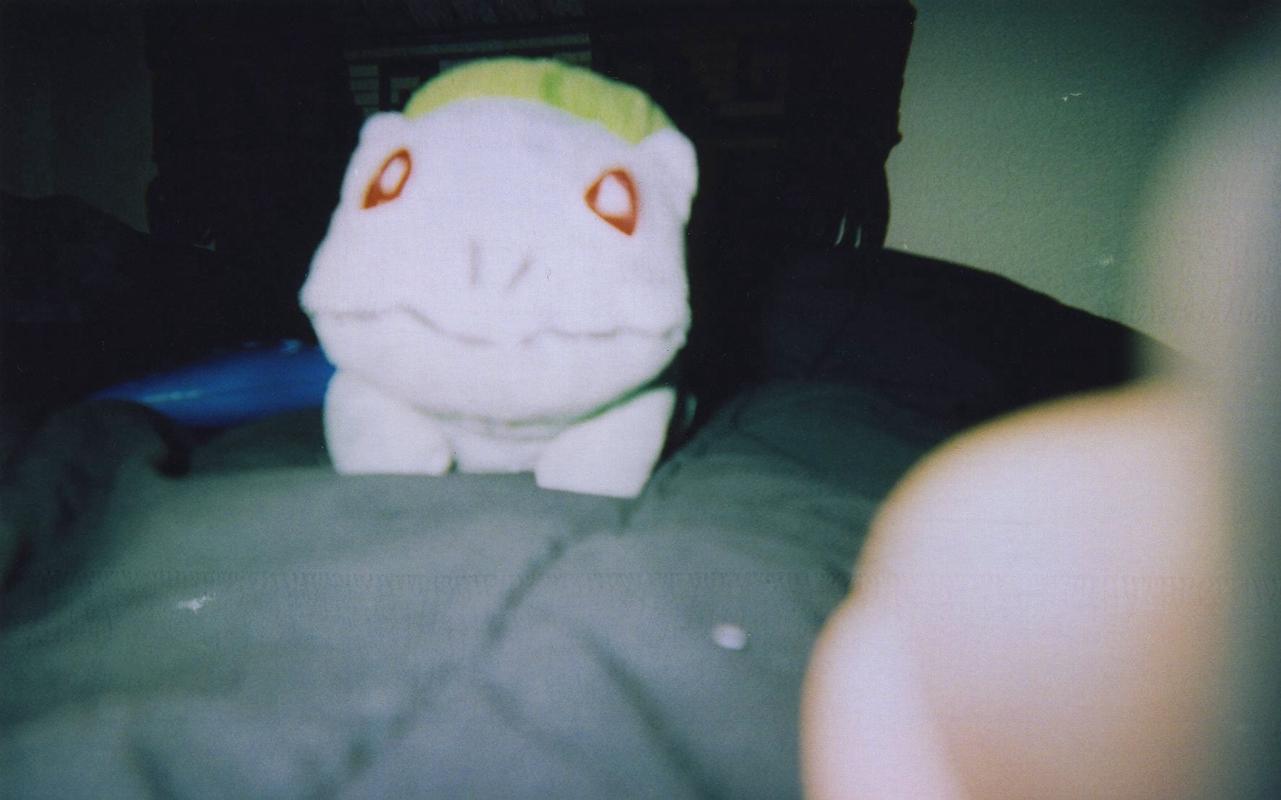 A photograph of Erchon’s beloved Bulbasaur plush