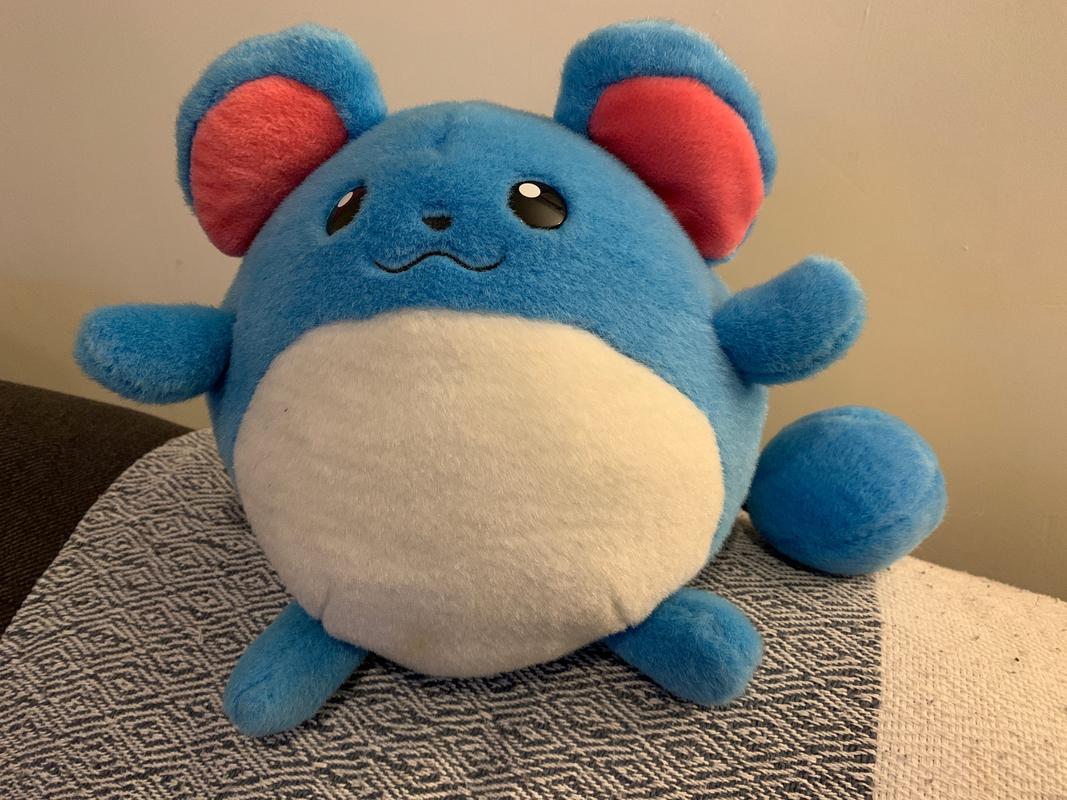Dom's Marill, the Pokémon that inspired his website and community all those years ago