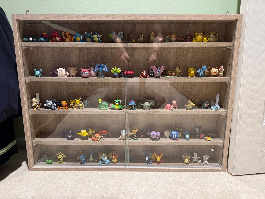 A photograph of Jed’s impressive Pokémon figure collection, inside a case