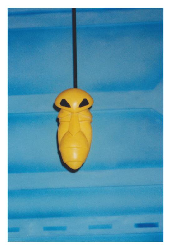 Kakuna’s sculpture was hanging from the ceiling at the attraction