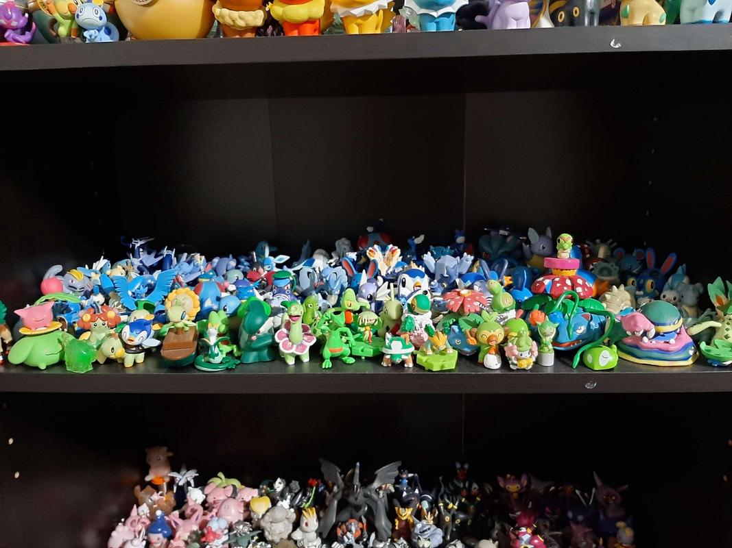 Miles has a tremendous number of Pokémon figures in his collection, there are so many in this picture alone that it's impossible to list each one!