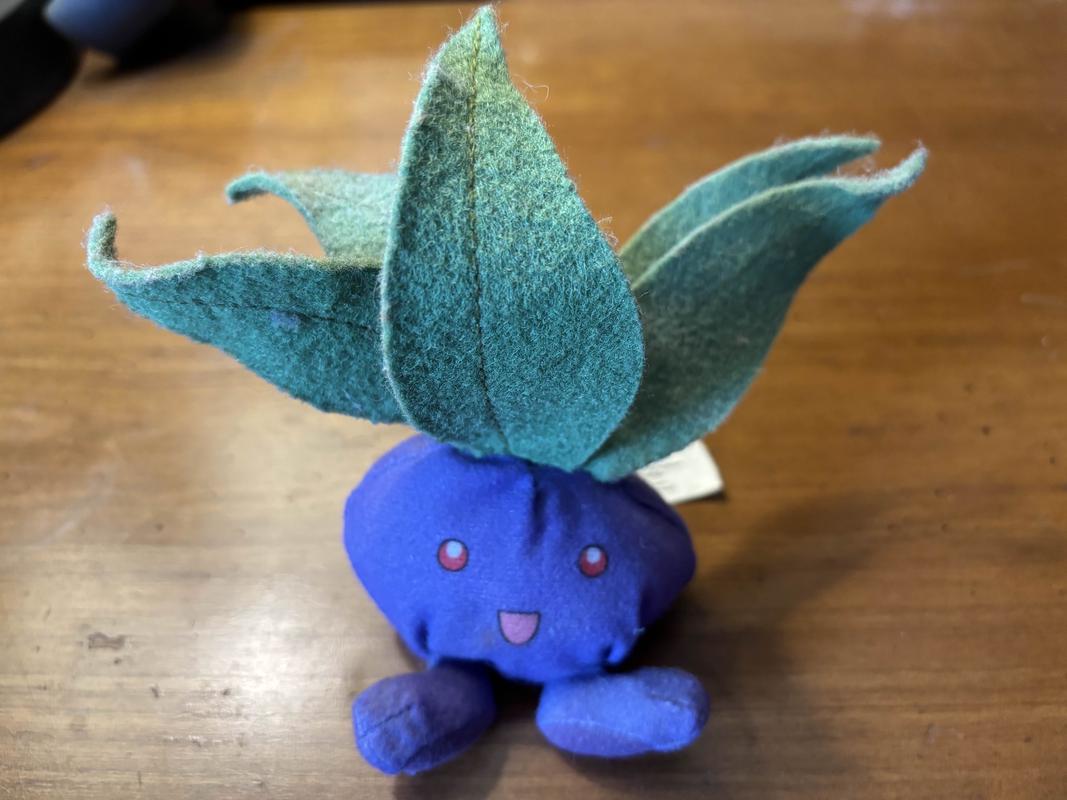 Connor’s Oddish plush he got from Burger King, which is now twenty-five years old