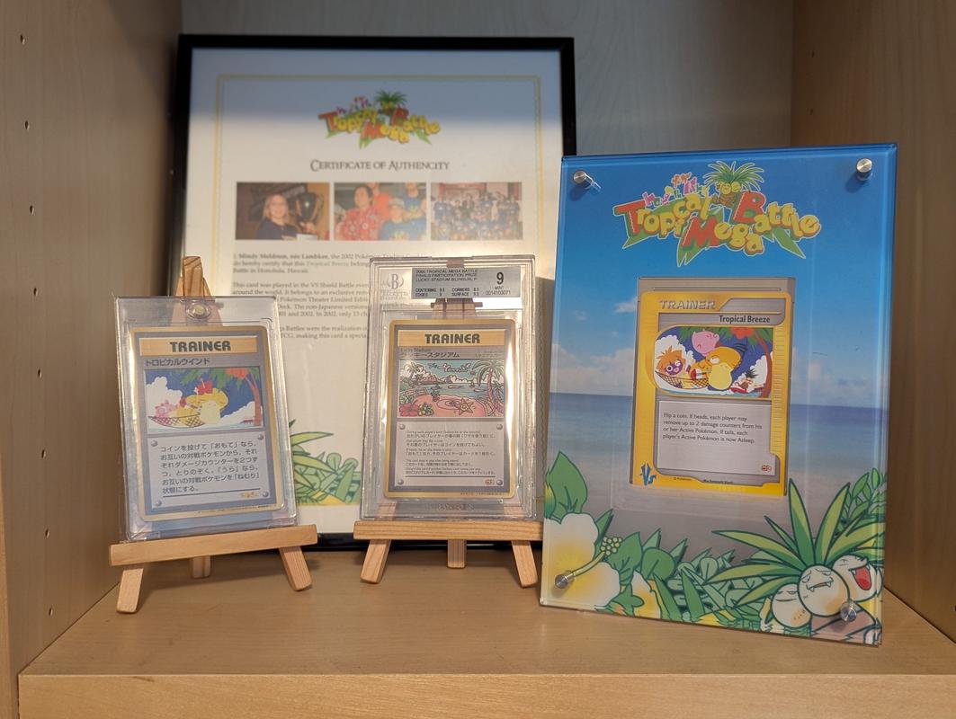 Various cards purchased by Emory, including Mindy Meldrum's Tropical Breeze card